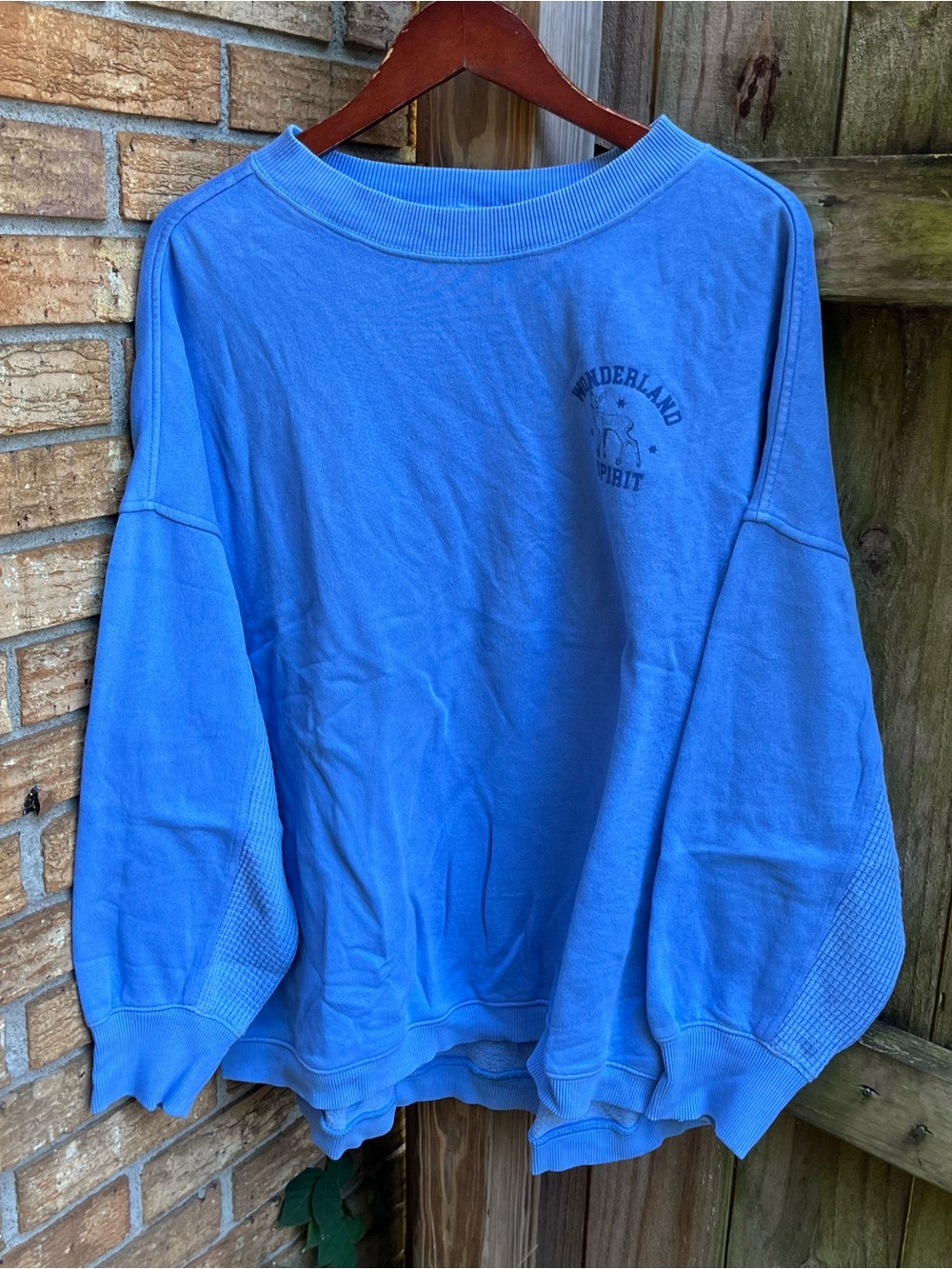 Aerie Oversized Blue Crewneck Sweatshirt “Wonderland Spirit”